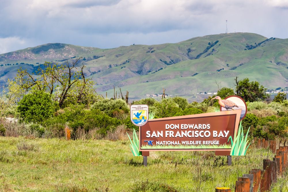 Welcome sign of Don Edwards San Francisco Bay National Wildlife Refuge