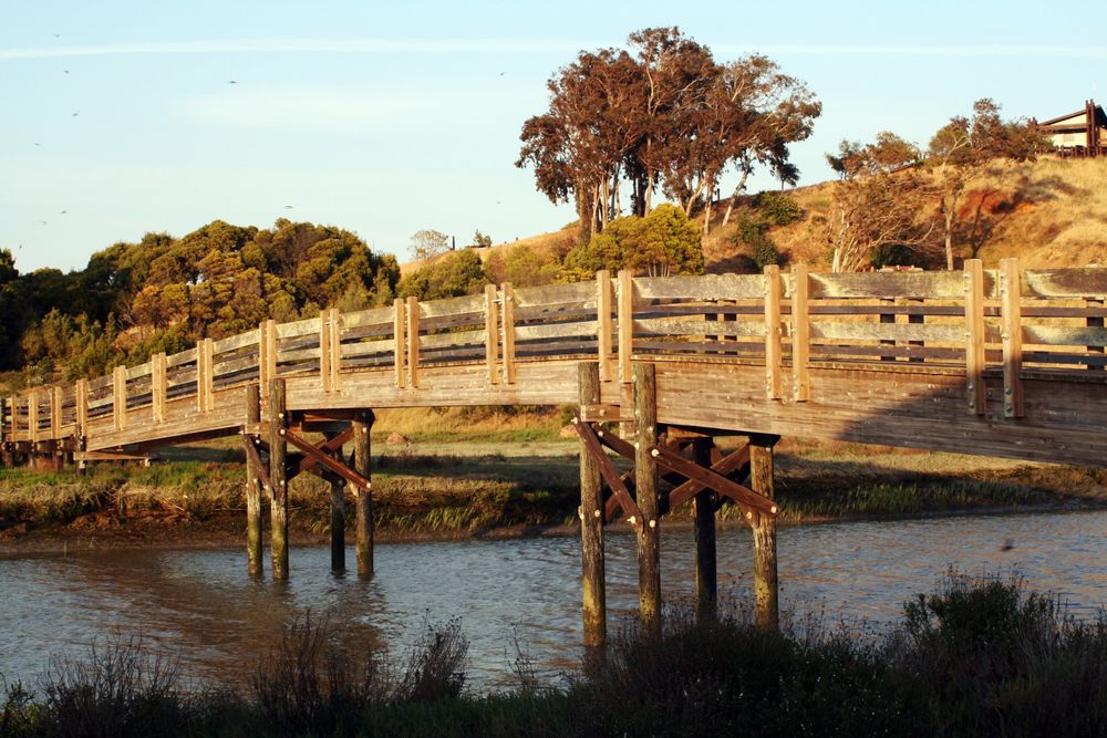 Wooden bridge at Don Edwards San Francisco Bay National Wildlife Refuge