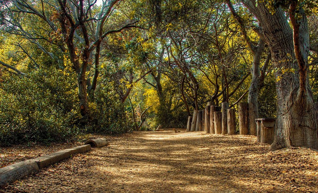 Trail at El Dorado Nature Center