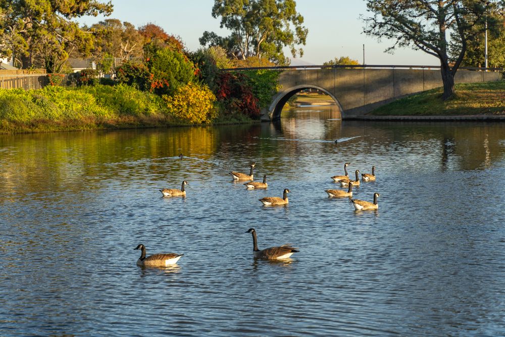 Bridge trail over Lakeshore Park's water