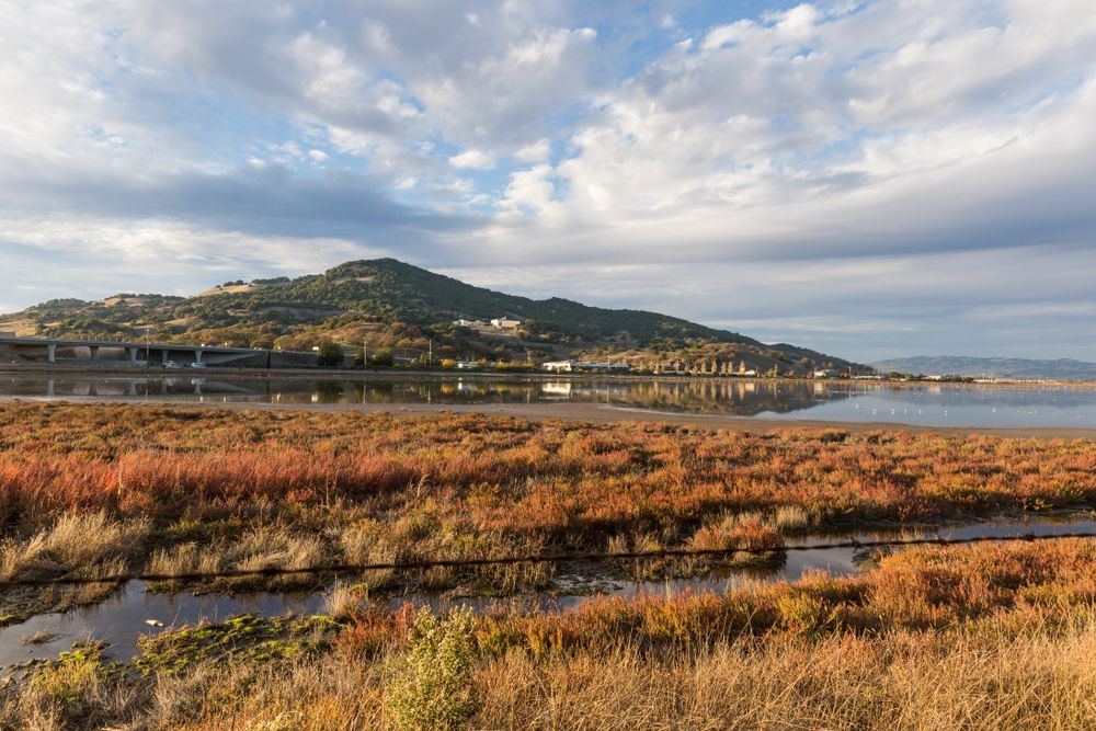 Scenic view of Rush Creek Preserve