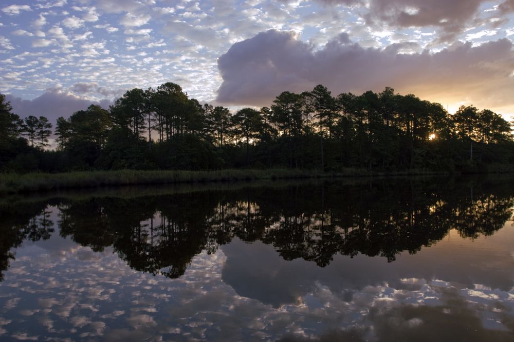 Silhouette along the Neuse River in North Carolina