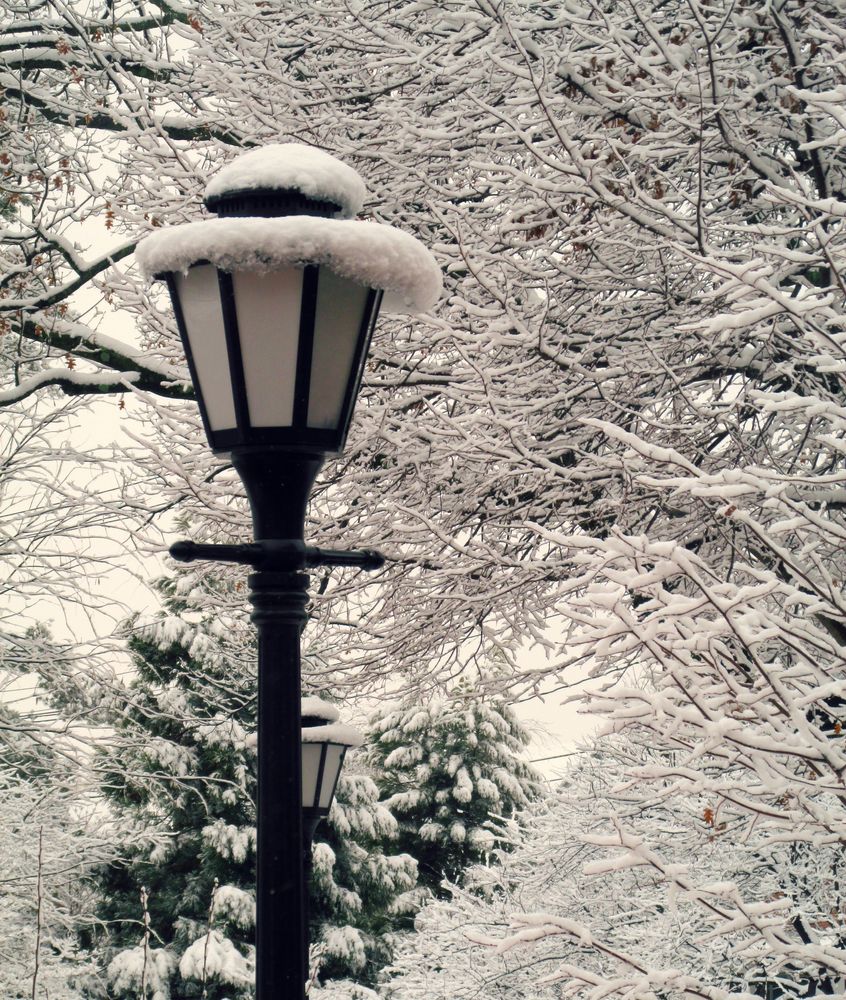 Snow covered lamp post in University of Delaware Campus