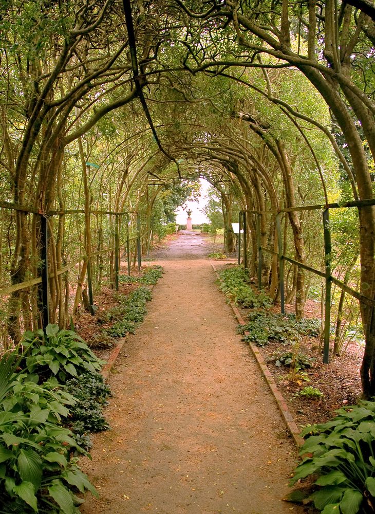 Vine arch pathway at Tryon Palace