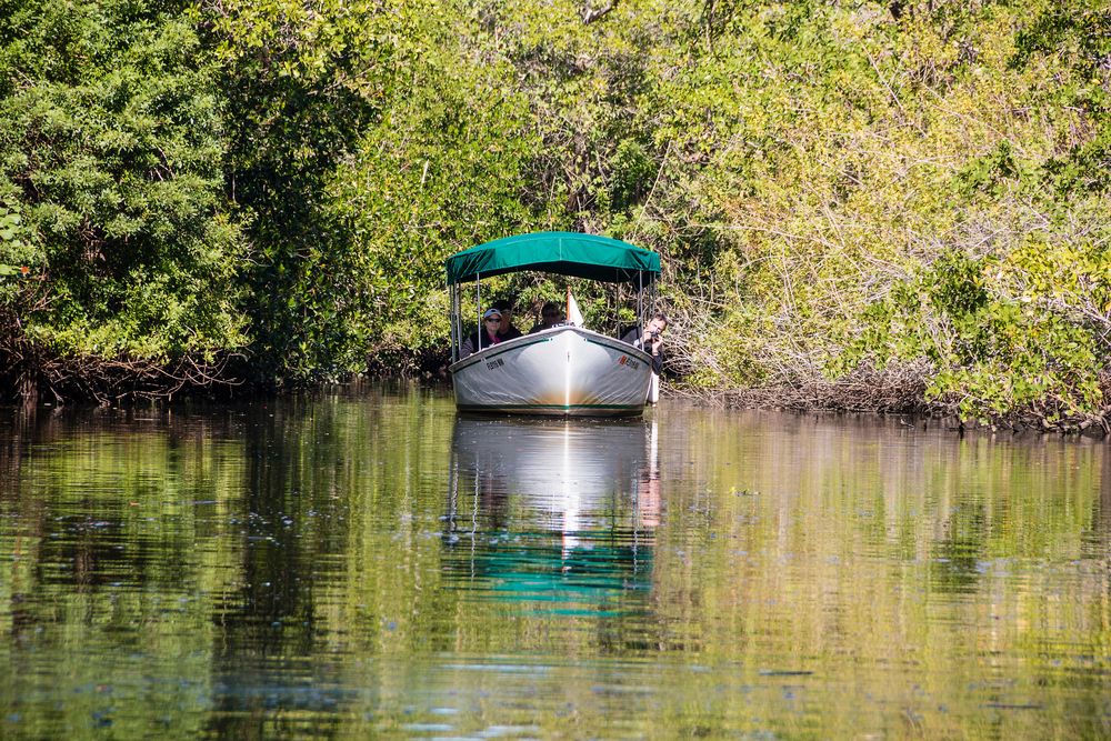 Guided boat tour on the waters of Naples