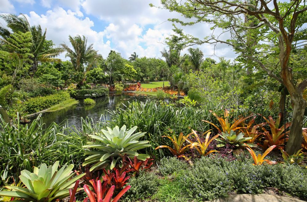 Lush greenery of Naples Botanical Garden