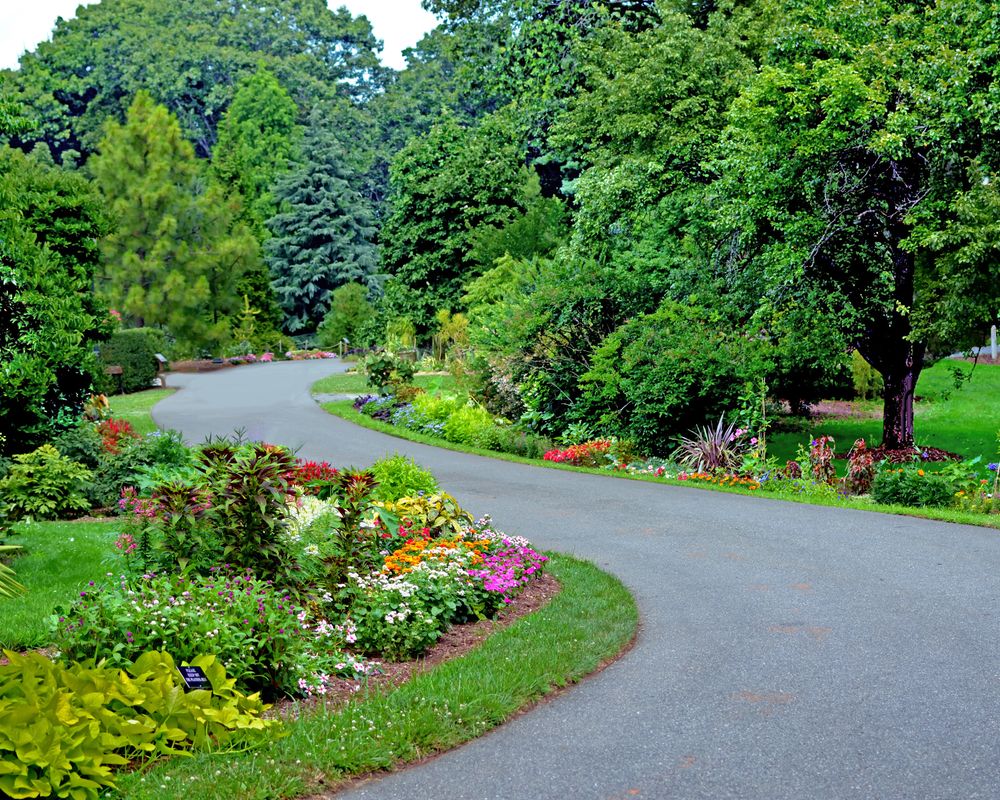 A trail lined with flora at Clark Botanic Garden