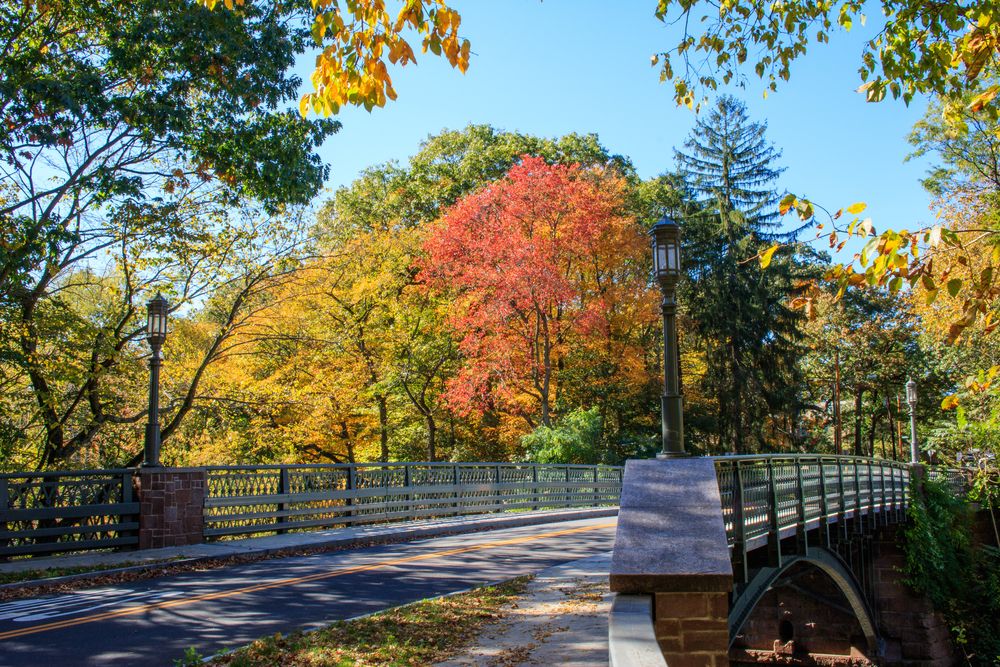 A bridge at East Rock Park