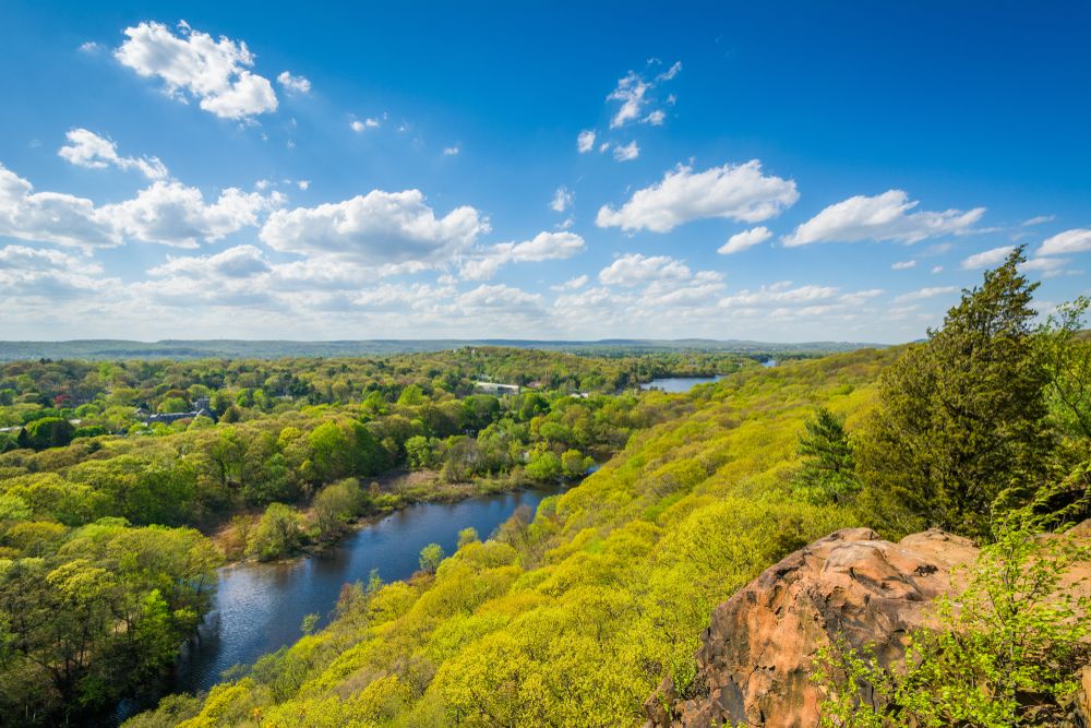 View of mill river from East Rock Park's summit