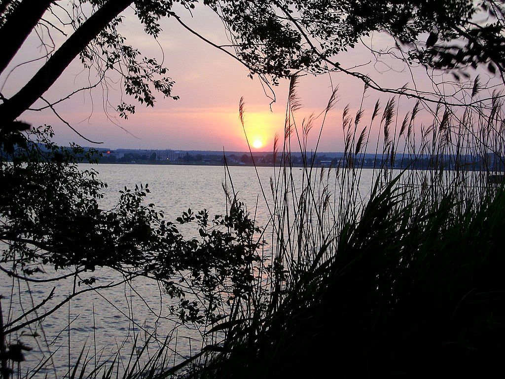 View of the sunset from East Shore Park