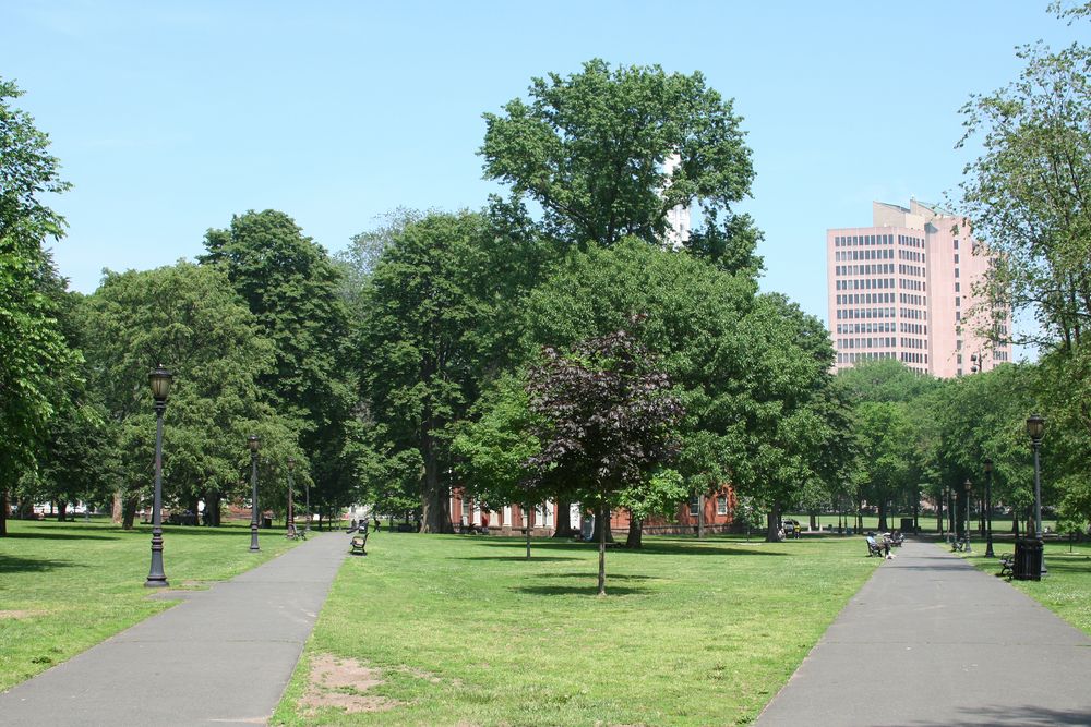 Paved trails at New Haven Green