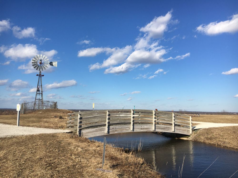 A windmill at Norman J. Levy Park & Preserve
