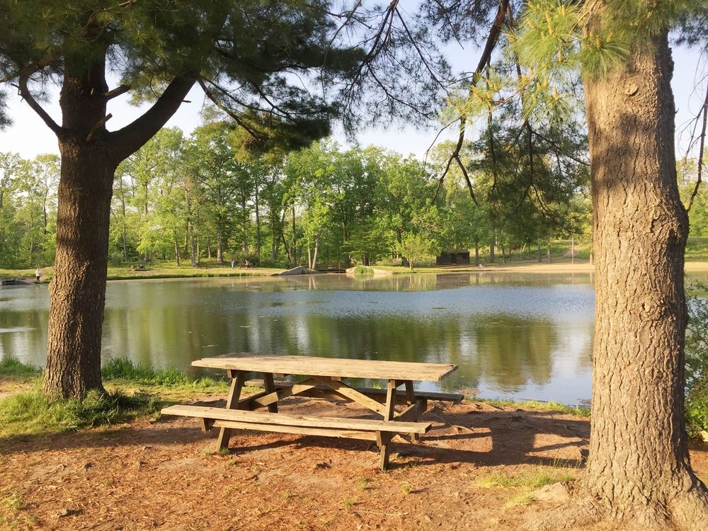 Bench overlooking the pond of Wharton Brook State Park