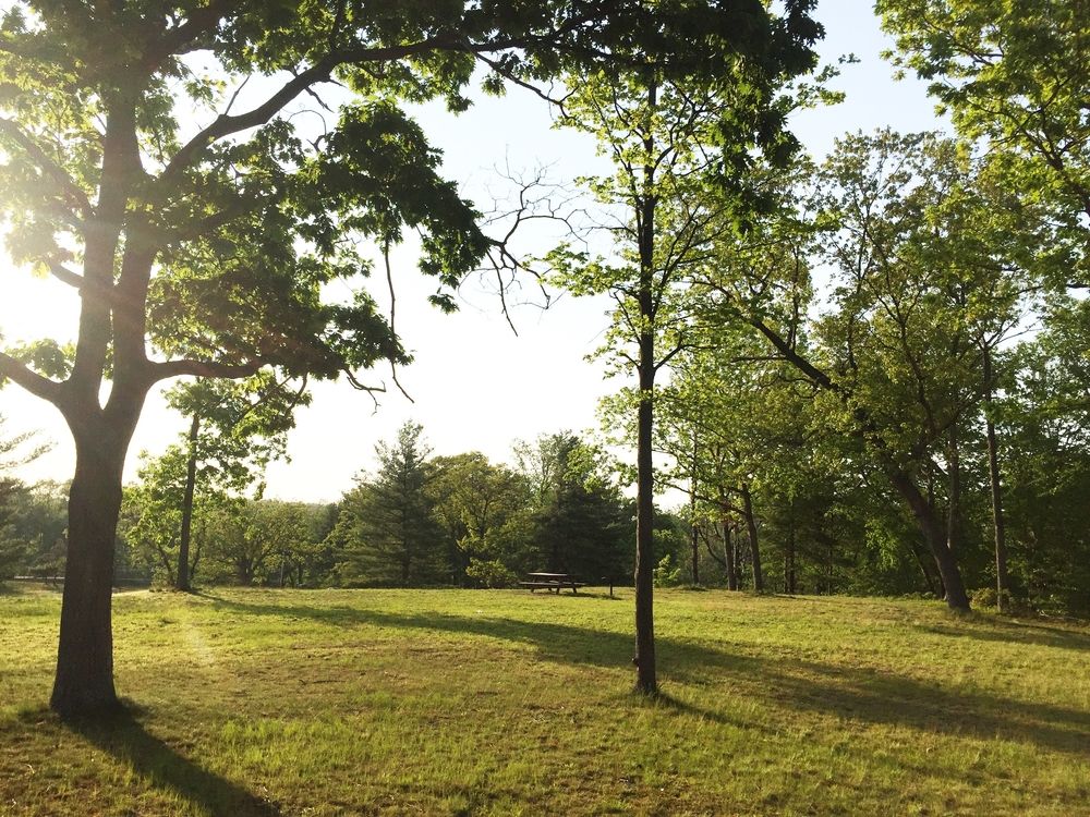 The grounds of Wharton Brook State Park