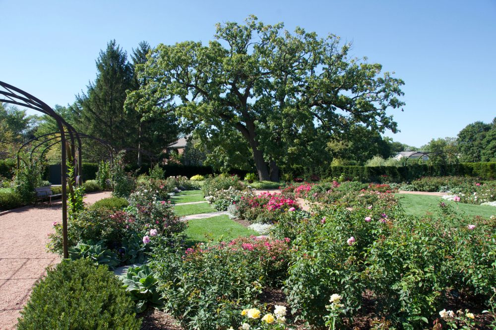 The garden of Cantigny Park