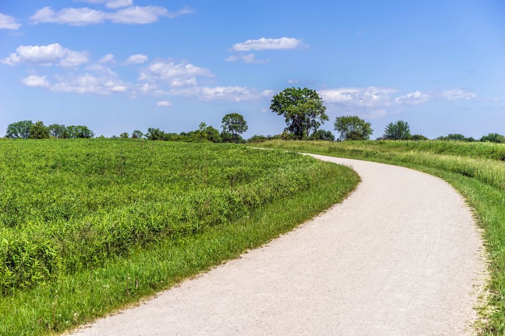 Trail at Springbrook Prairie Forest Preserve