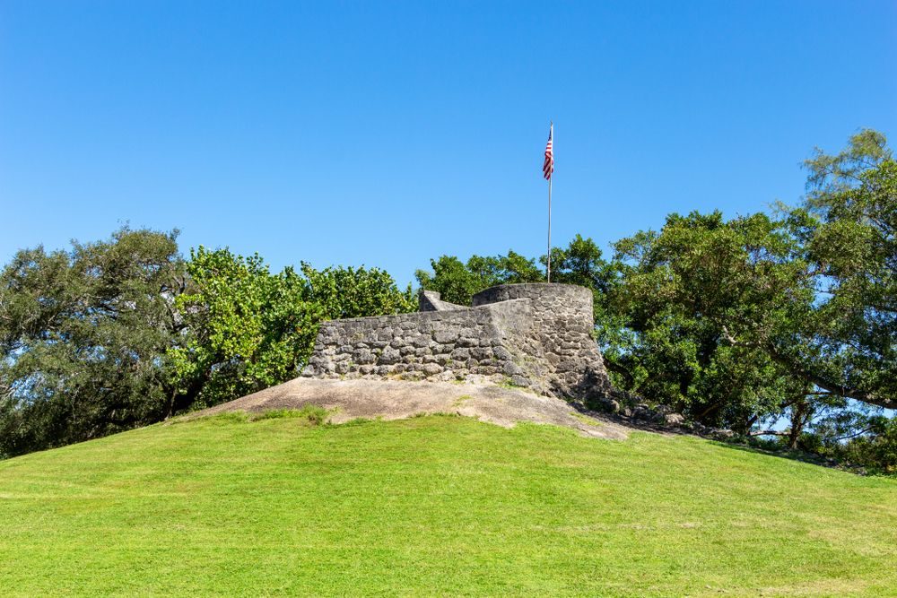 Mound at Greynolds Park