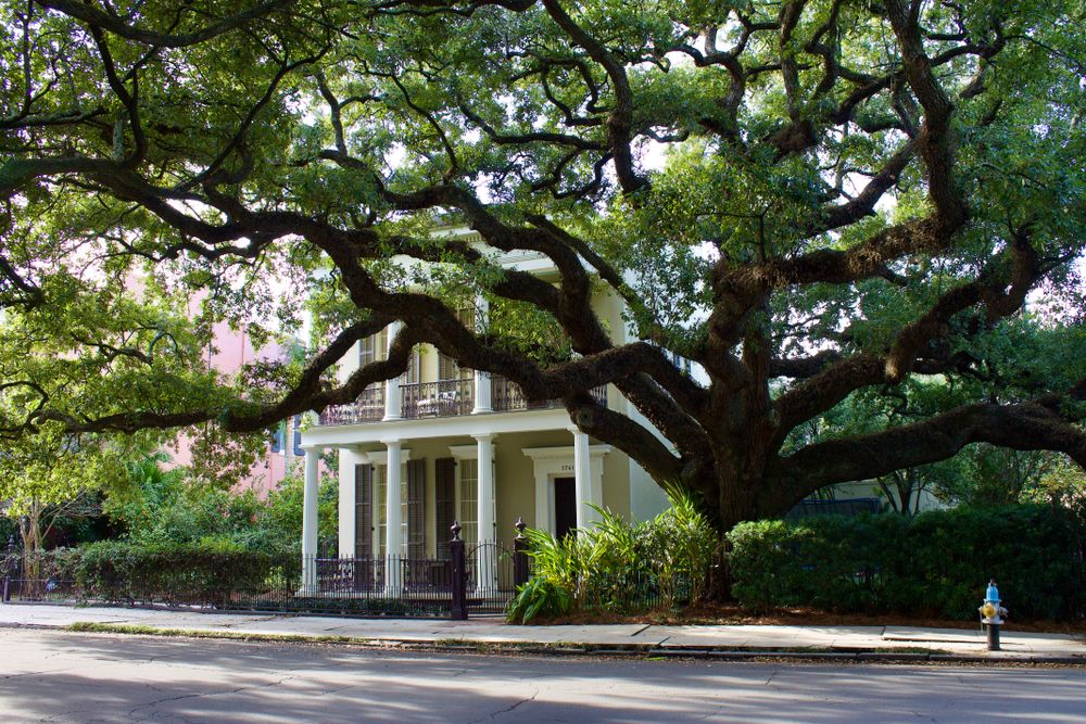 Daytime view of Garden District