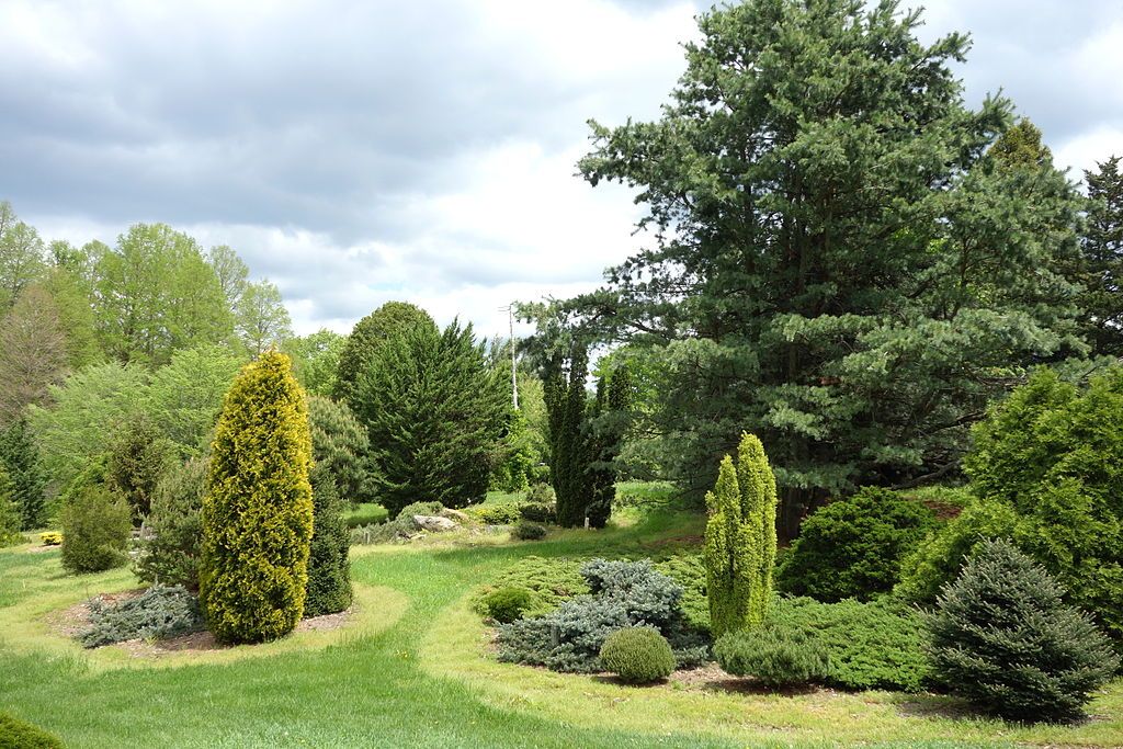 Shrubs at Dawes Arboretum