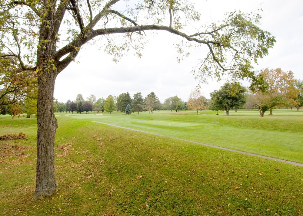 The grounds of Newark Earthworks