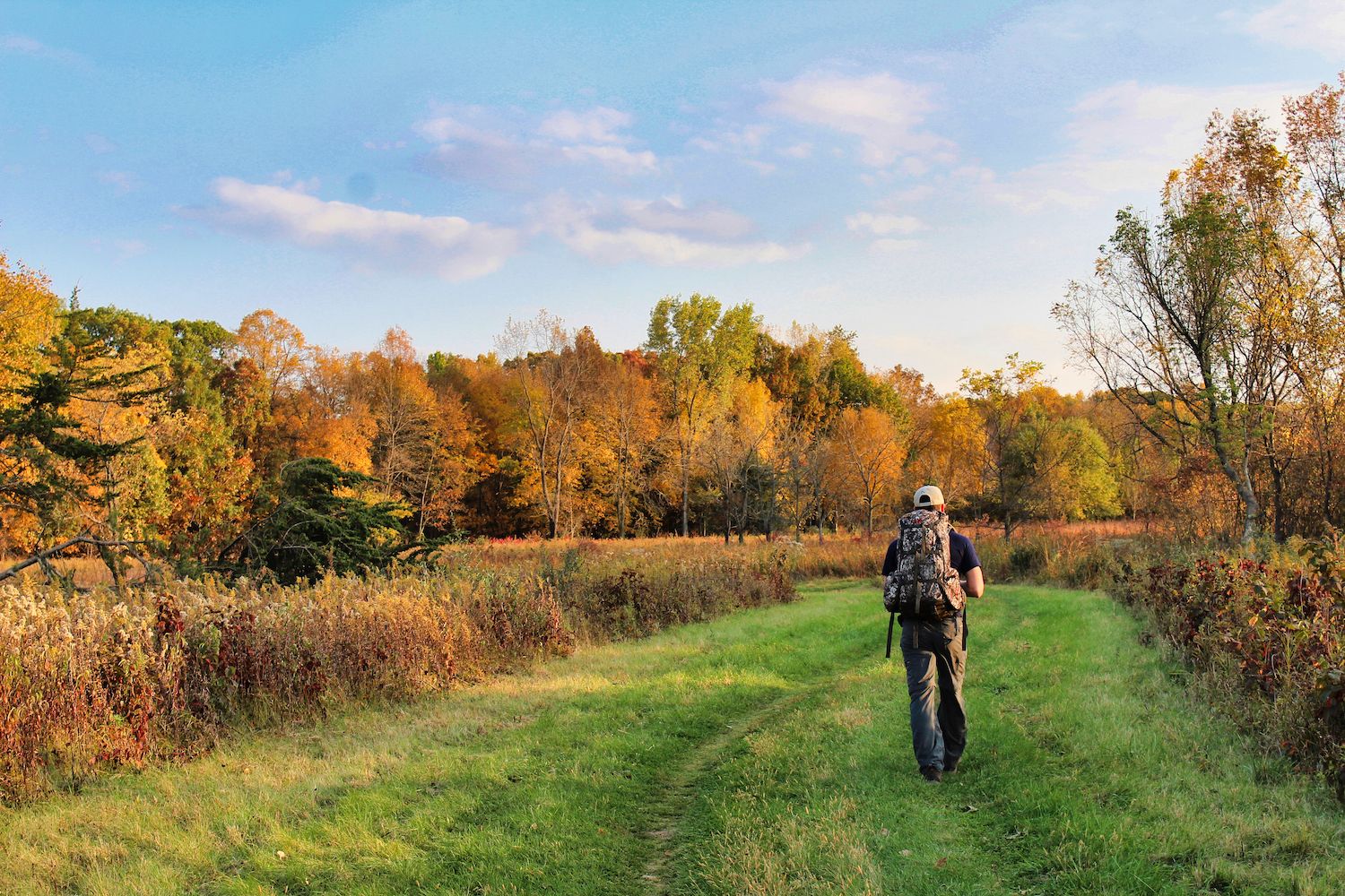 15 Best Things to Do in North Liberty, IA Travel Lens