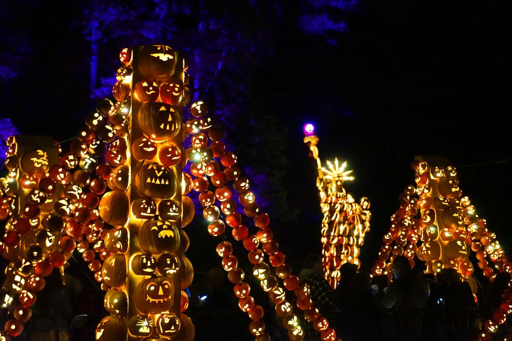 Carved pumpkins lit up for Jack O’ Lantern Blaze