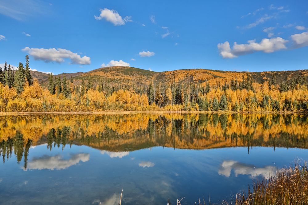 The calm waters of Chena Lake Recreation Area