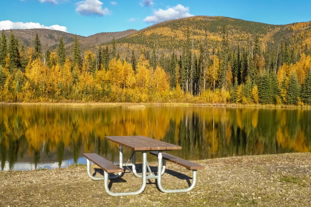 Picnic table on Chena Lake Recreation Area's shoreline