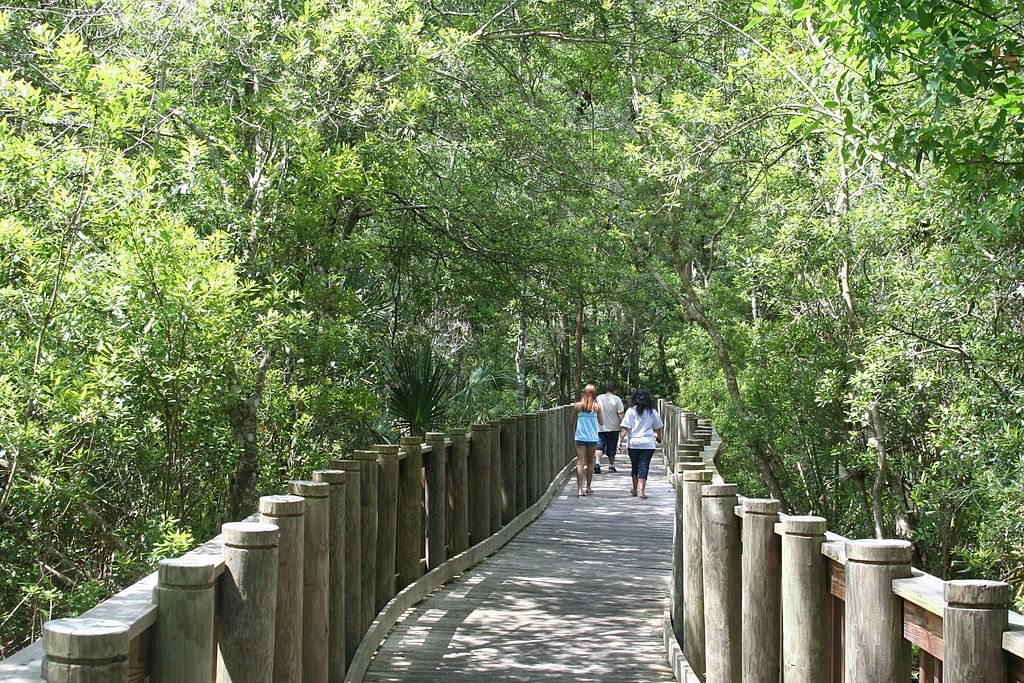 People walking along James E. Grey Preserve's boardwalk