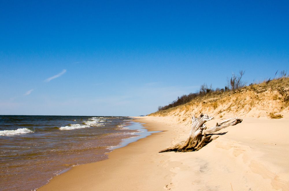 Scenic view of P.J. Hoffmaster State Park
