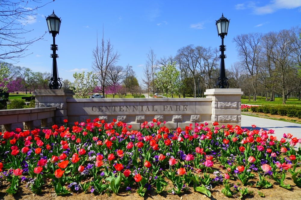Bed of flowers at Centennial Park