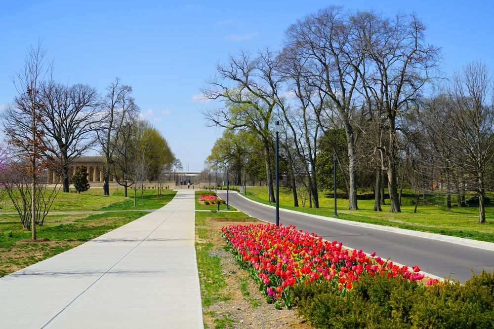 Paved pathway at Centennial Park