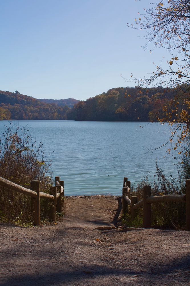 Trail leading to the waters of Radnor Lake State Park