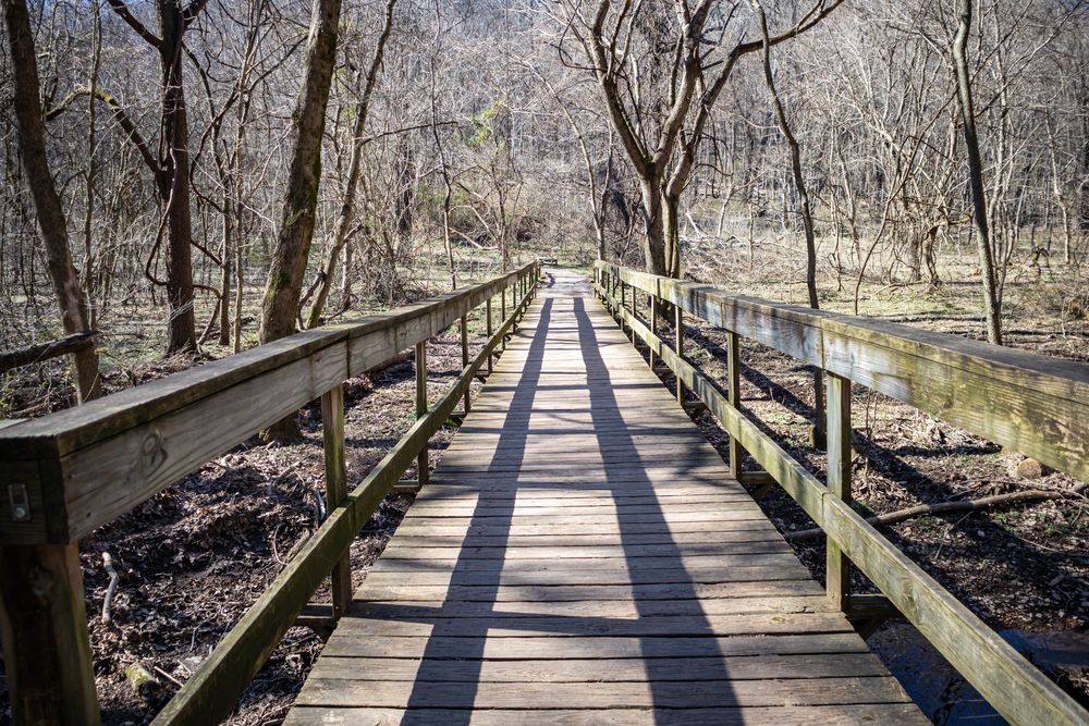 Boardwalk at Radnor Lake State Park