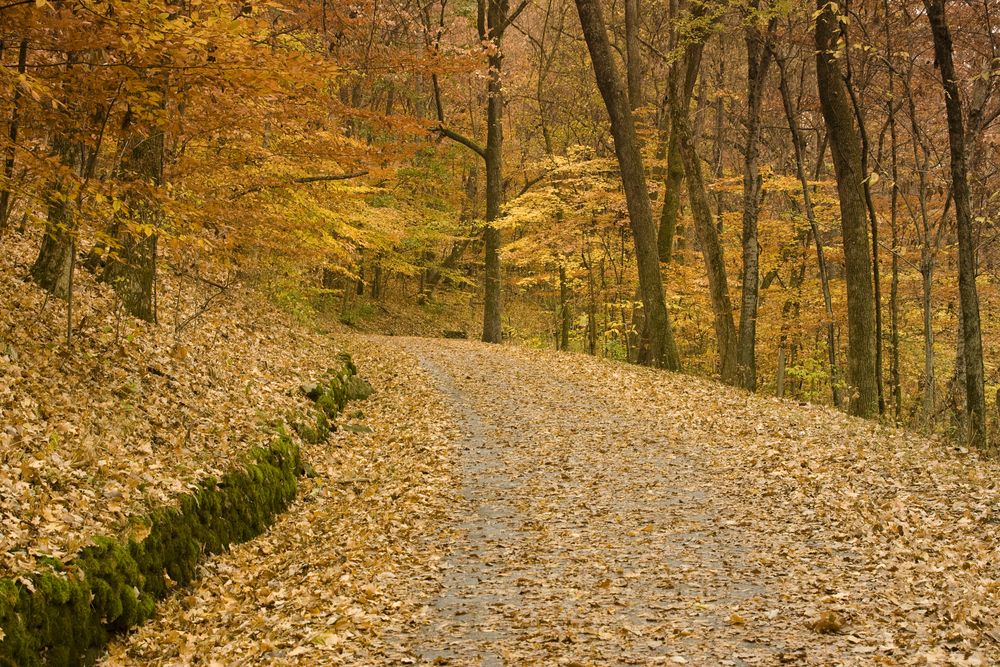 Hiking trail at Warner Parks