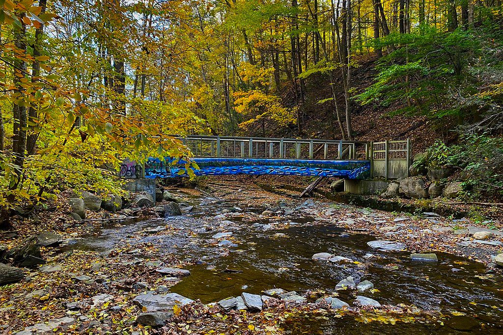 A small footbridge at Grimes Glen Park