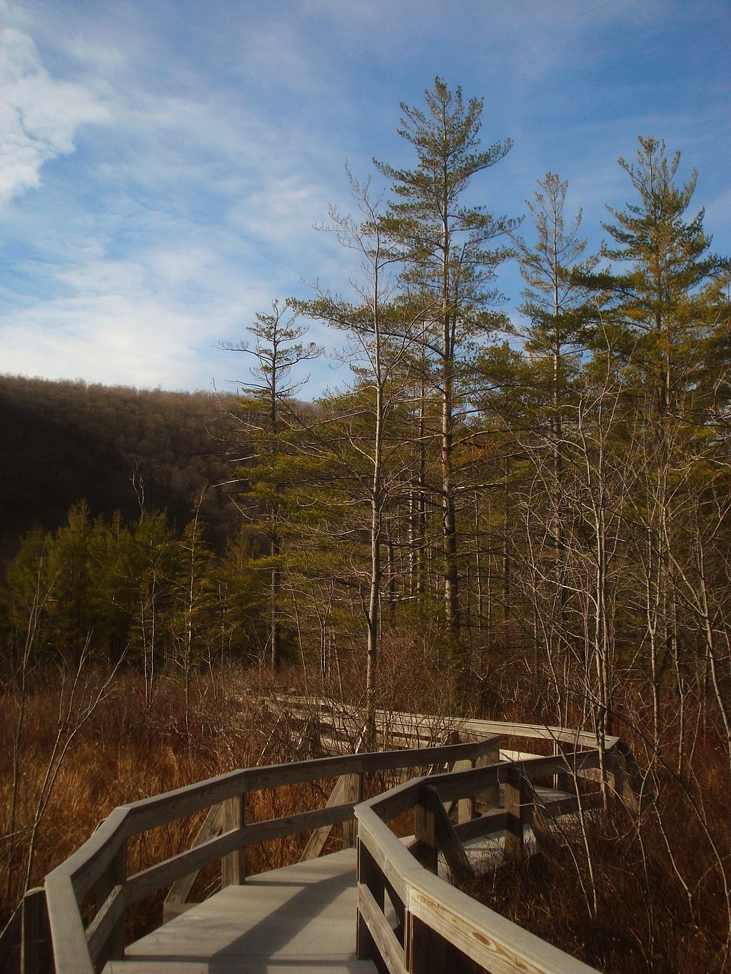 Walkway of Labrador Hollow Boardwalk