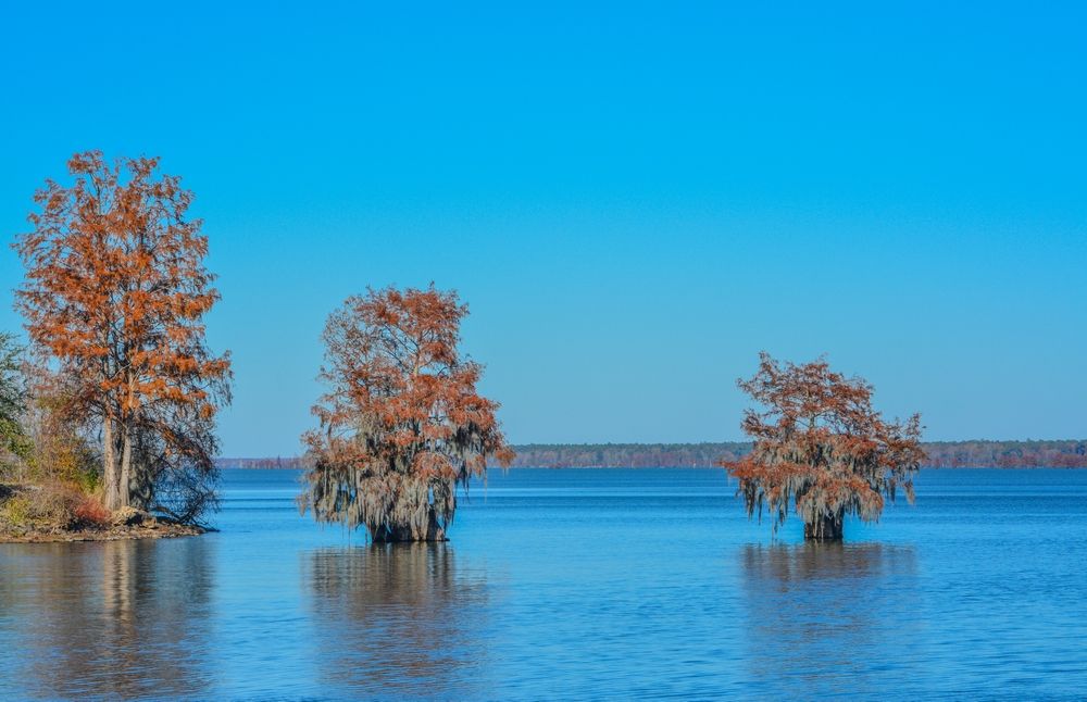 The waters of Santee State Park Day Use Area