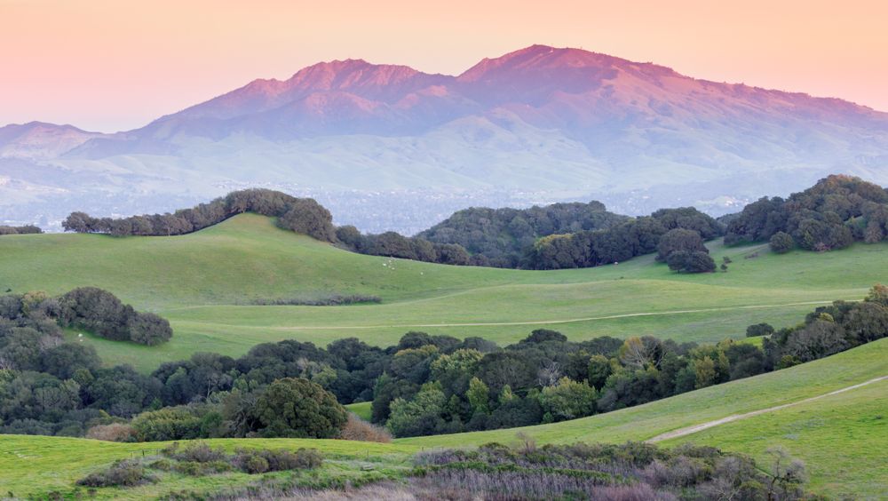 Scenic view of Briones Regional Park