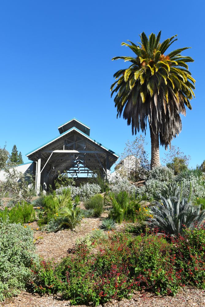 Bacon pavilion at Fullerton Arboretum