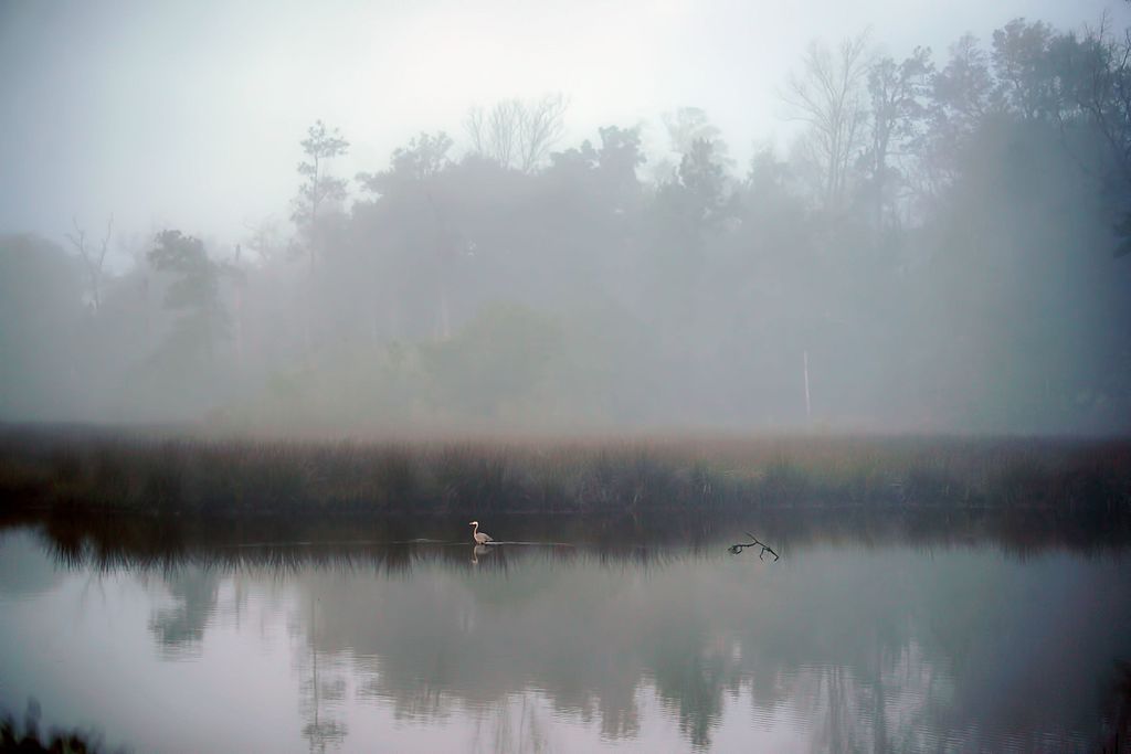 Fog over a lake at Davis Bayous Area