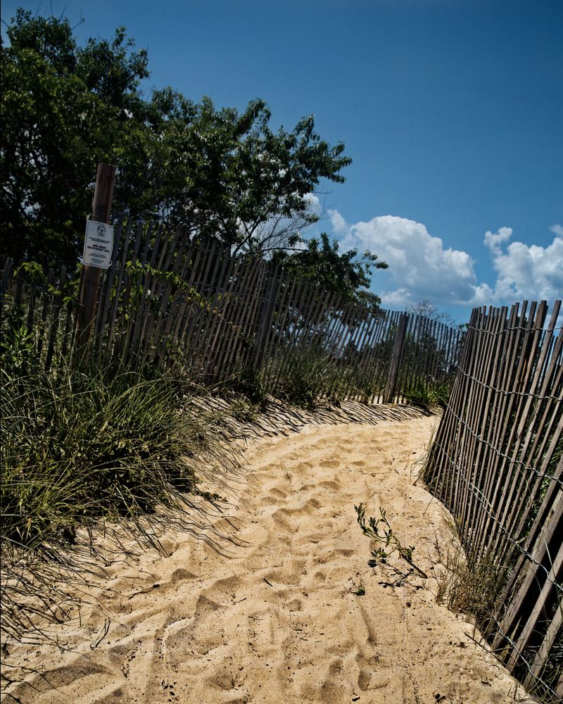 Sandy trail of Corson’s Inlet State Park