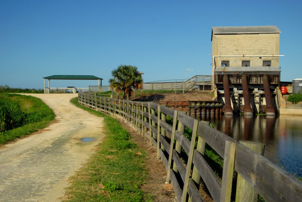 Trail at Lake Apopka