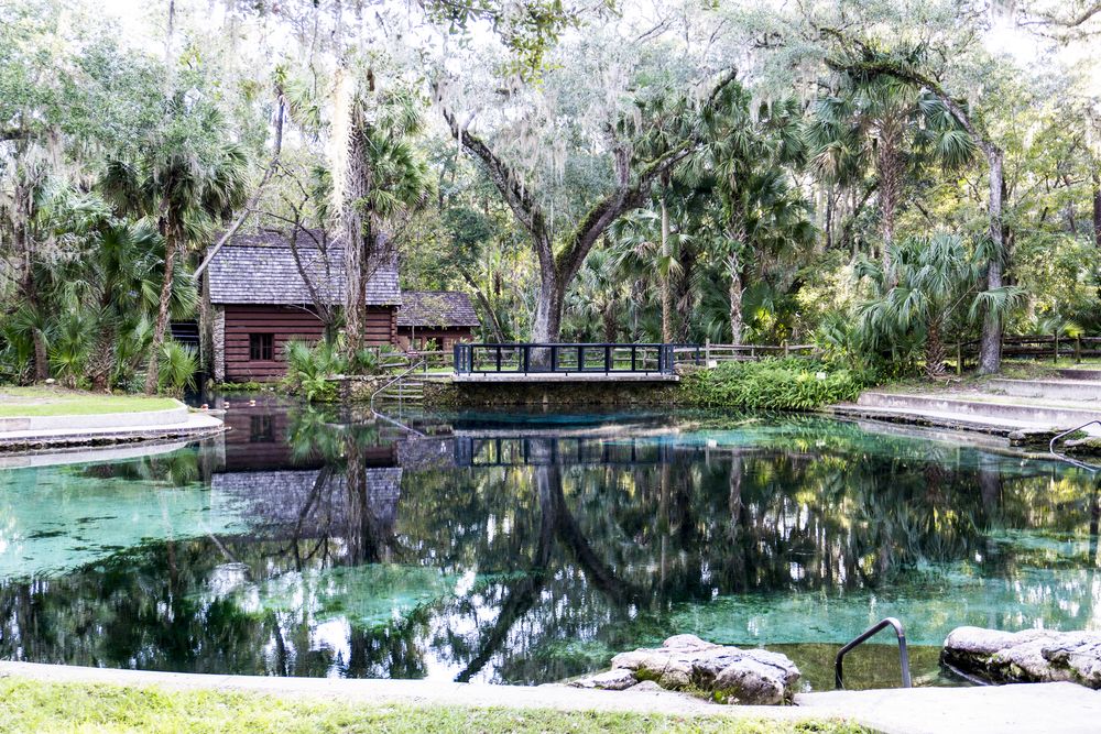 The waters of Ocala National Forest