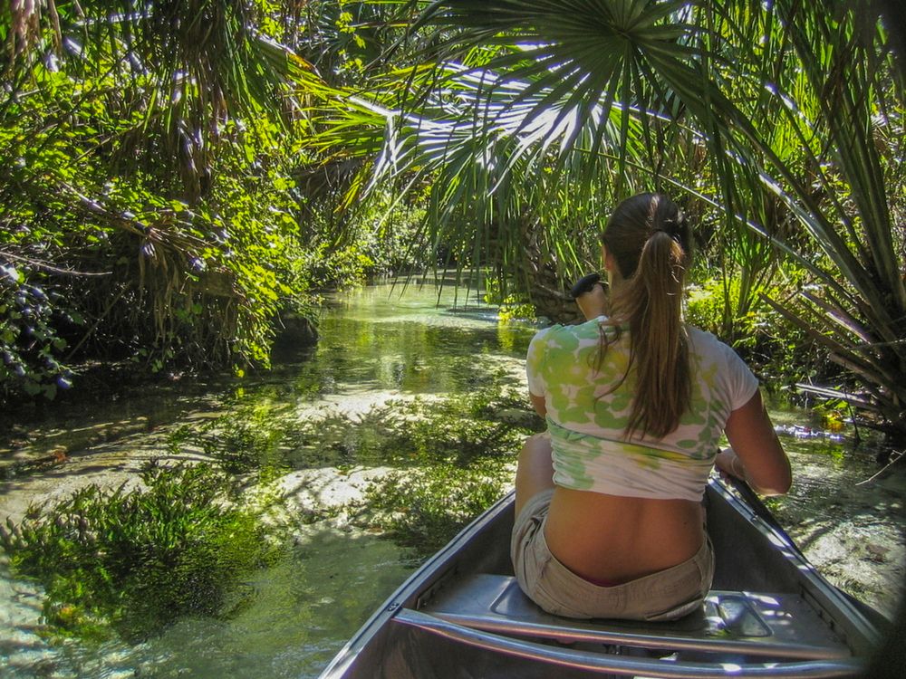Canoeing at Ocala National Forest