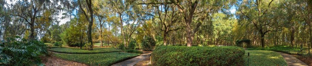 Trees at Sholom Park