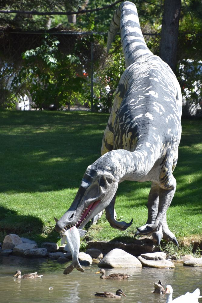 A dinosaur eating a fish display at George S. Eccles Dinosaur Park