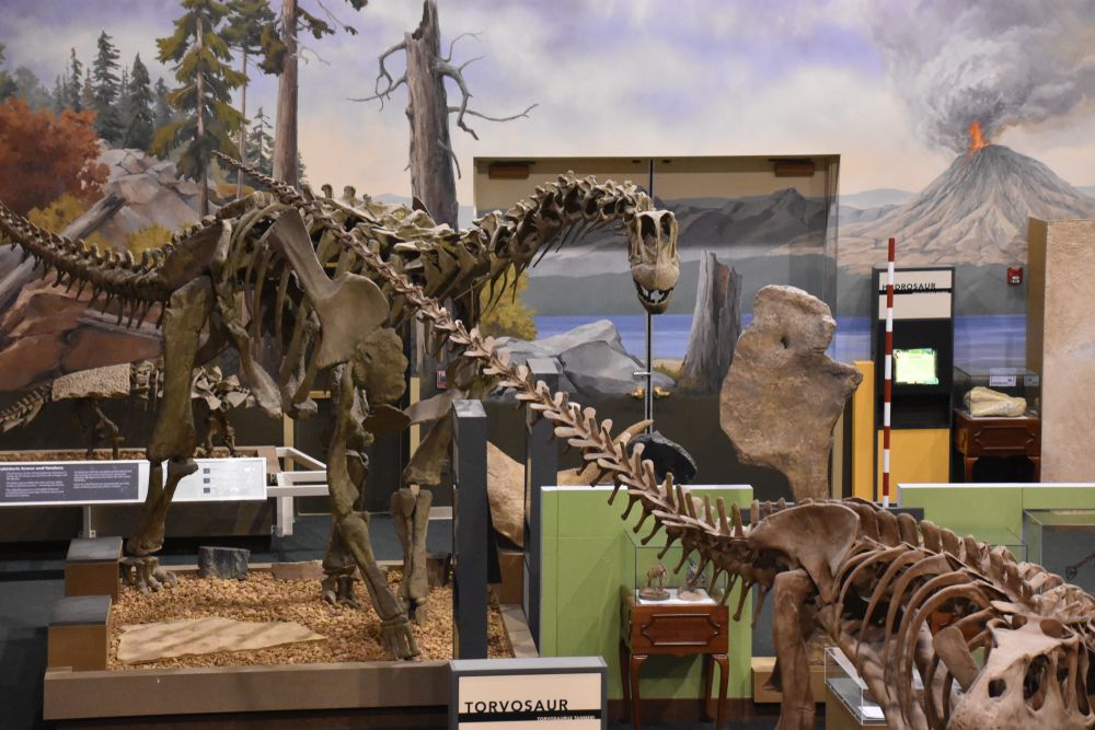 Dinosaur skeleton exhibit at George S. Eccles Dinosaur Park
