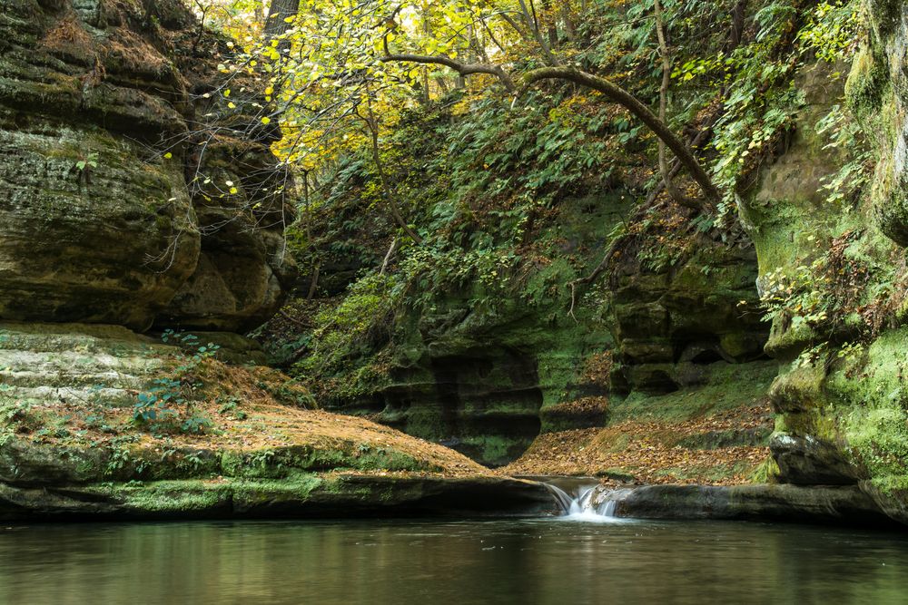 Scenic nature view of Starved Rock State Park