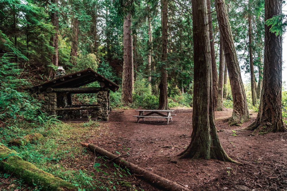 Picnic table at Deception Pass State Park